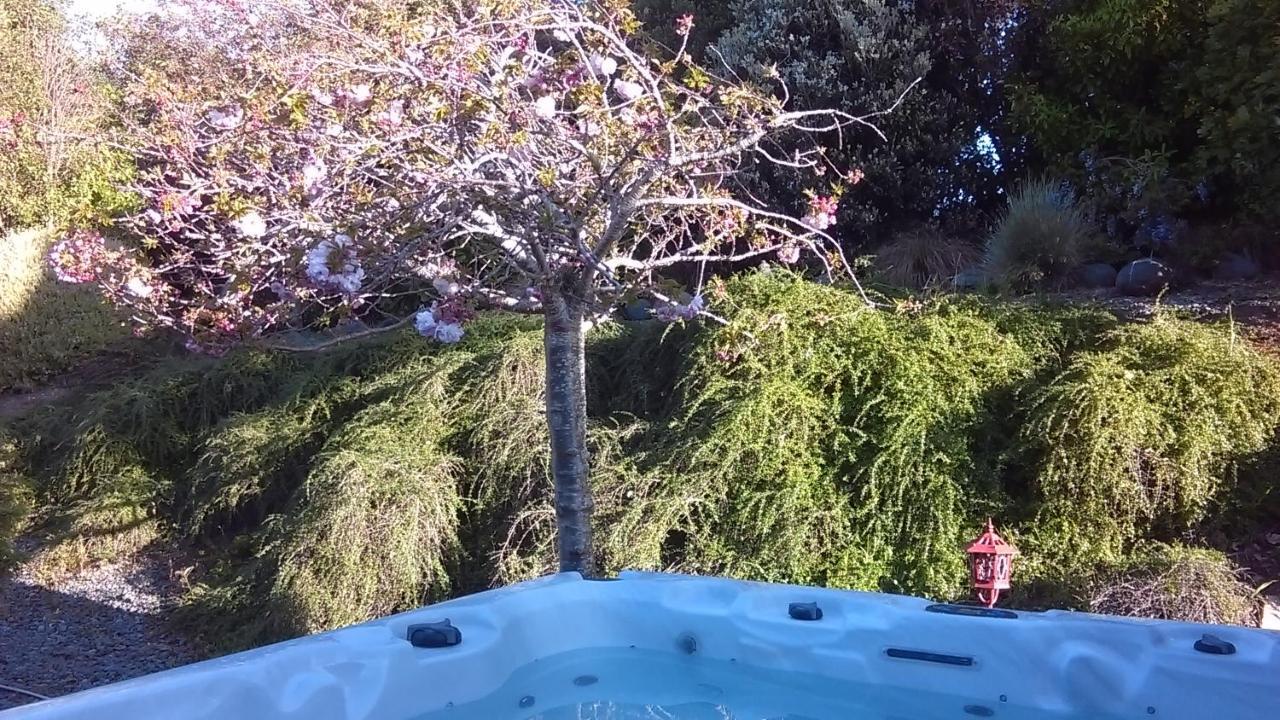 Shurinji Whanganui Kültér fotó